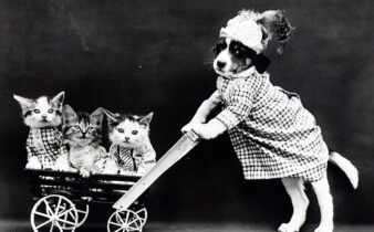 Sådan vedligeholder du din silver cross kensington barnevogn