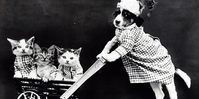 Sådan vedligeholder du din silver cross kensington barnevogn