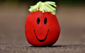 Nmn: Den nye stjerne på anti-aging-himlen