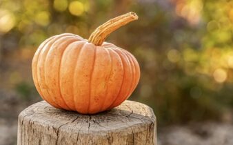 10 fantastiske halloween-kostumer, der stjæler showet i 2024