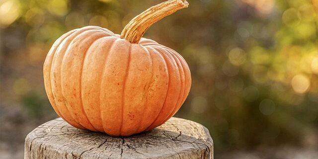 10 fantastiske halloween-kostumer, der stjæler showet i 2024
