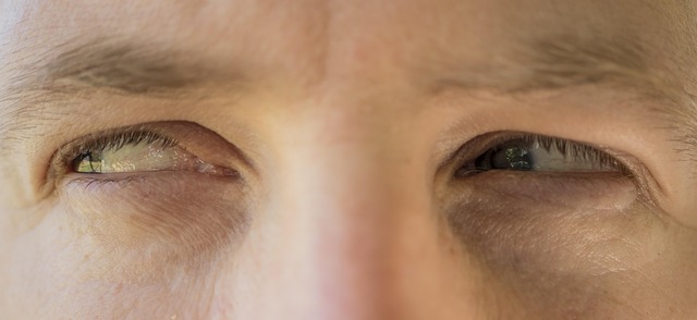 Hvilke egenskaber forbindes med navnet nora?