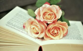 Magisk realisme og melankoli: Det litterære portugal