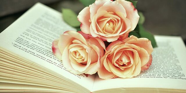 Magisk realisme og melankoli: Det litterære portugal